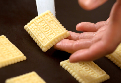 Biscuit/Snack Technology