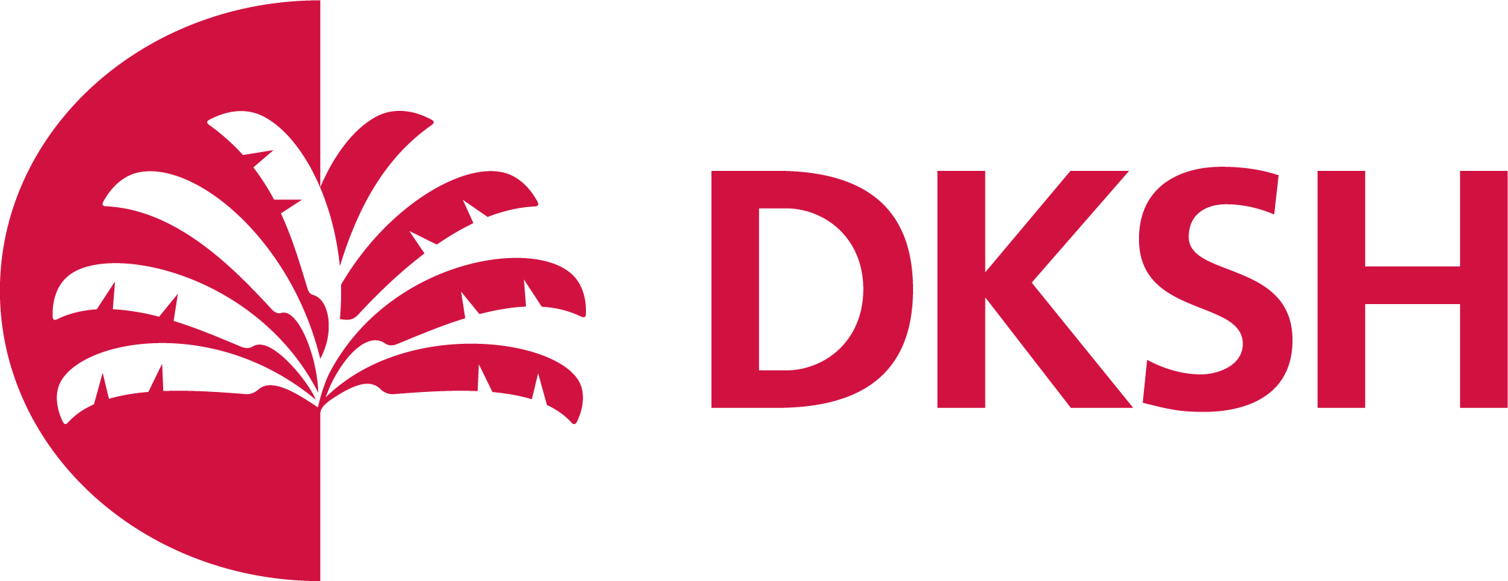 DKSH Vietnam Co., Ltd. logo